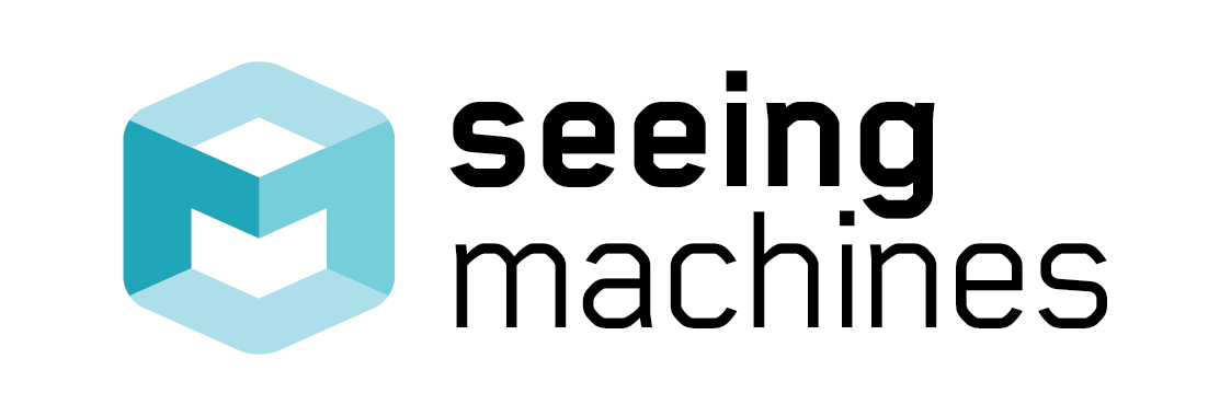 Seeing Machines